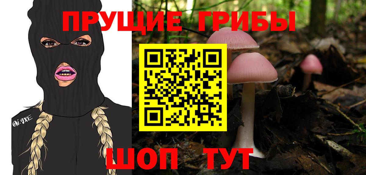 Псилоцибиновые грибы Magic Shrooms Губаха